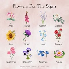 Your Star Sign as a Flower: What Bloom Are You?