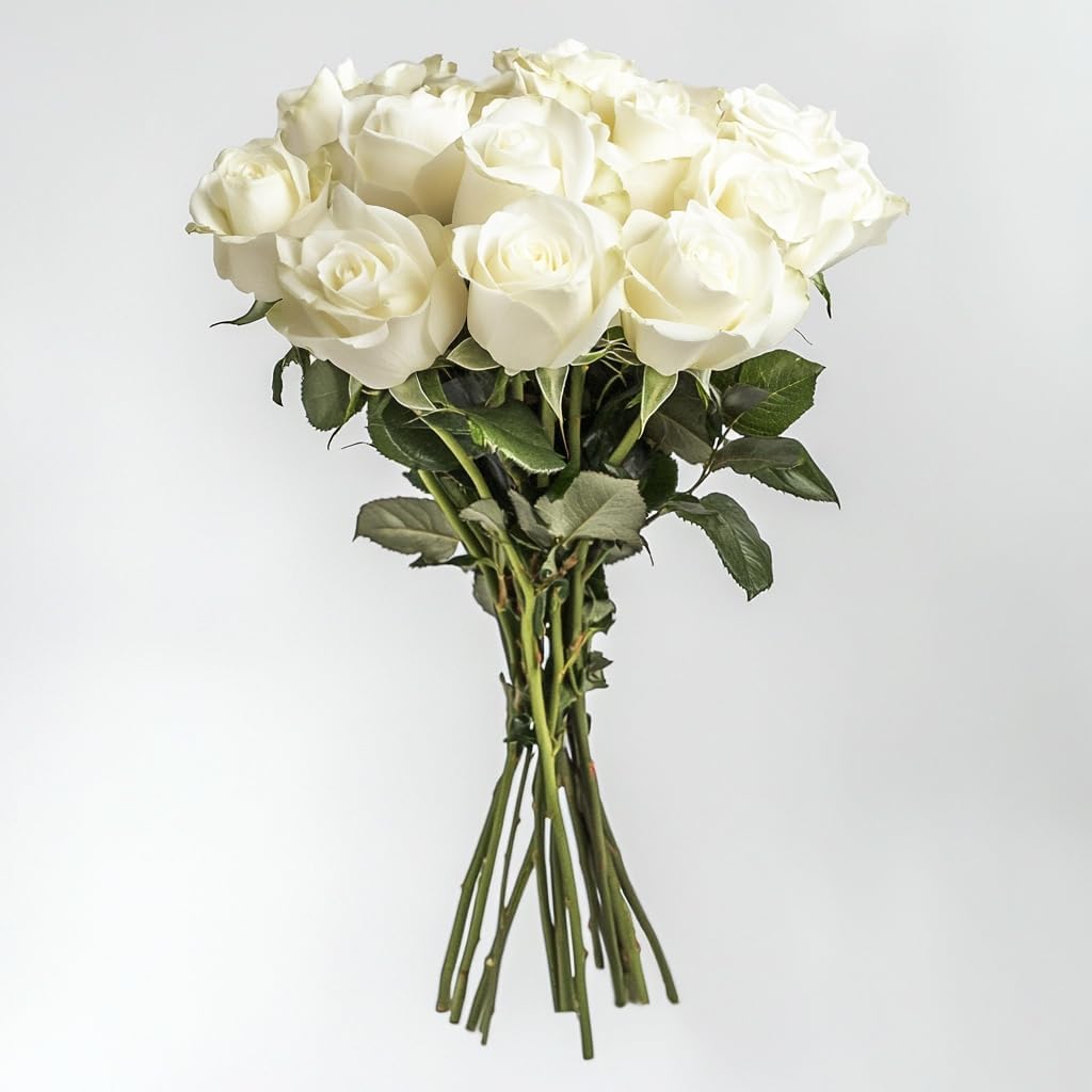 White Roses - Top Florist