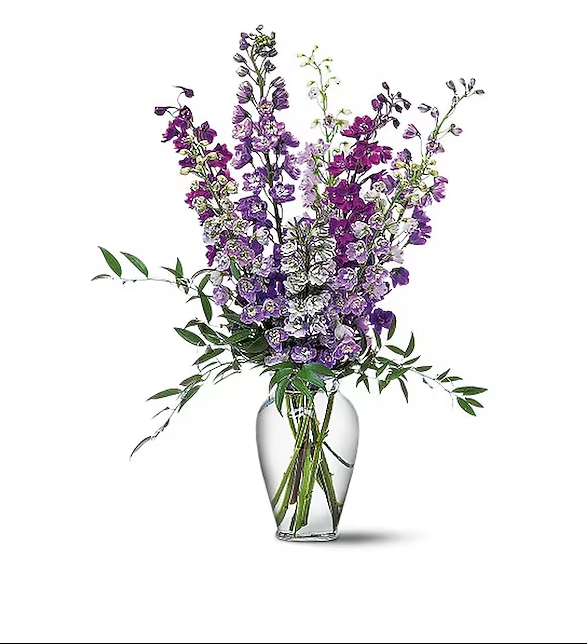 Delphinium Dreams - by Top Florist