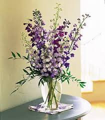 Delphinium Dreams - by Top Florist
