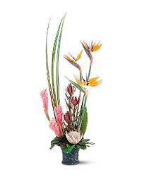 Tropical Paradise Arrangement - by Top Florist