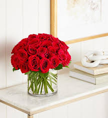 TF's Dozen Rose Contempo