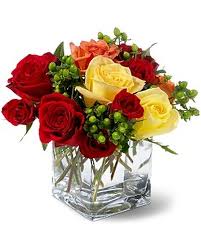 Carousel Roses