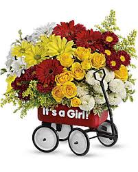 Baby's Wow Wagon by Top Florist - Girl