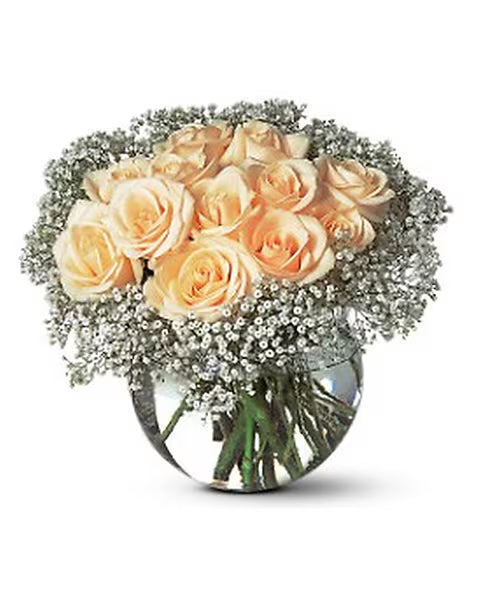 A Dozen White Roses