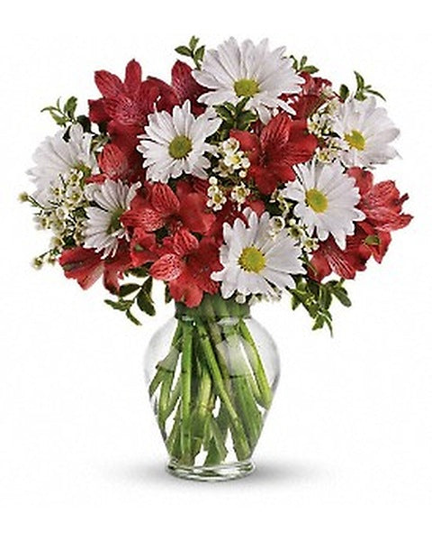 Dancing in Daisies