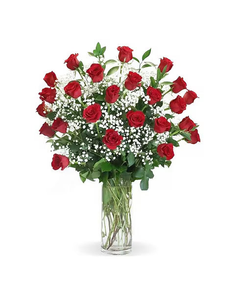 Two Dozen Red Roses