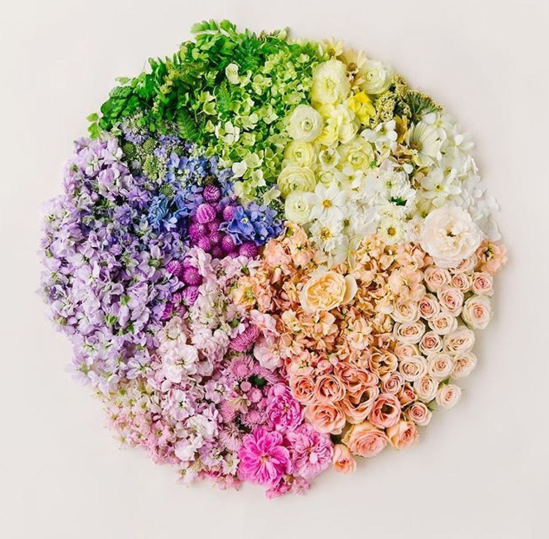 The Color Wheel of Flowers | Floral Design & Color Harmony