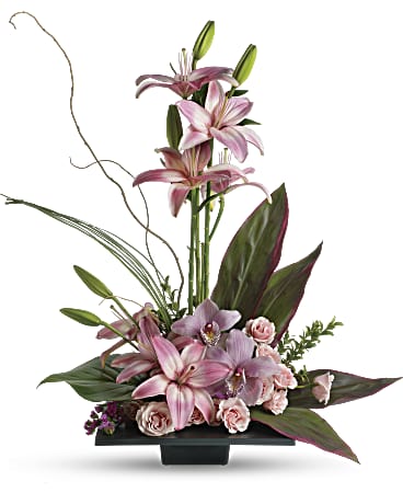 Imagination Blooms - by Top Florist