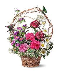 Touch of Butterflies - by Top Florist