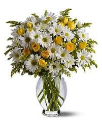 Teleflora's Daisy Days Deluxe - by Top Florist