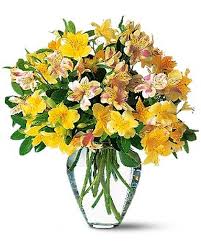 Sparkling Alstroemeria - by Top Florist