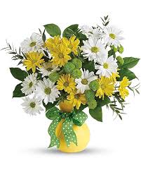 Teleflora's Daisy Days Deluxe - by Top Florist