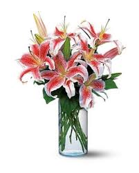 Lovely Lilies - by Top Florist