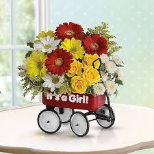 Baby's Wow Wagon by Top Florist - Girl