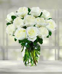 A Dozen White Roses