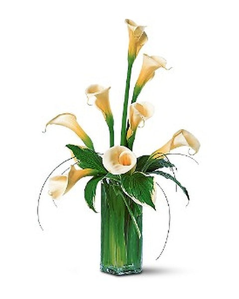 White Callas - by Top Florist