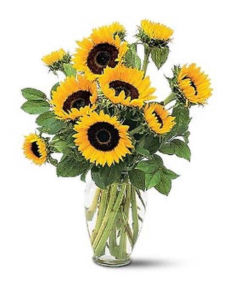 Shining Sunflowers - by Top Florist