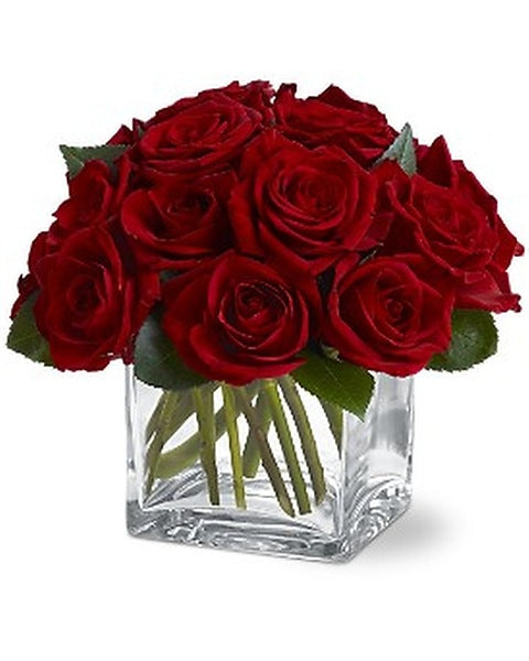 TF's Dozen Rose Contempo