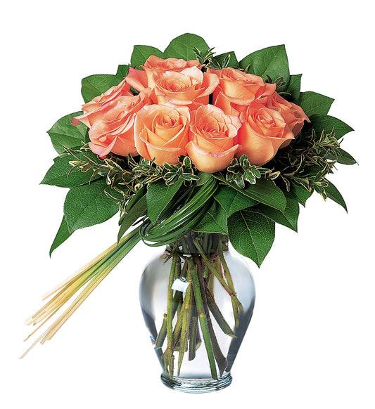 Perfectly Peachy Roses
